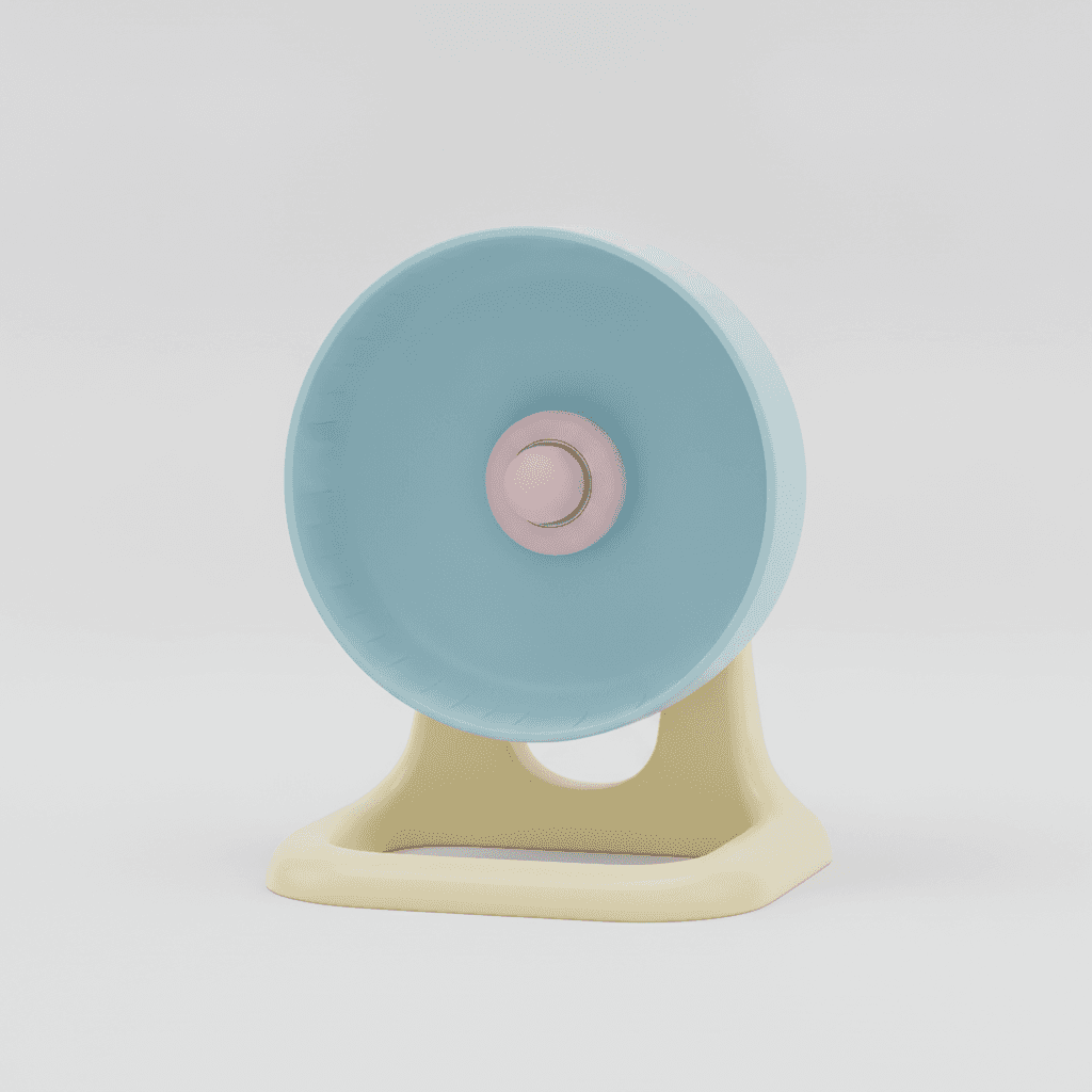 Roue d'Exercice Silencieuse 28cm — Roulement à Billes